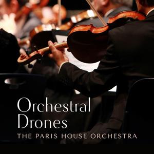 青青草免费线观综合网
